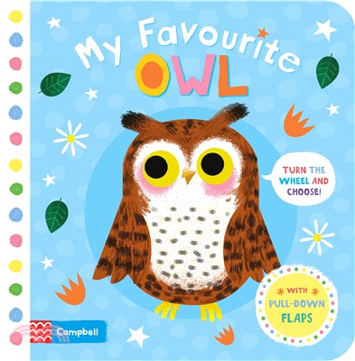 My Favourite Owl