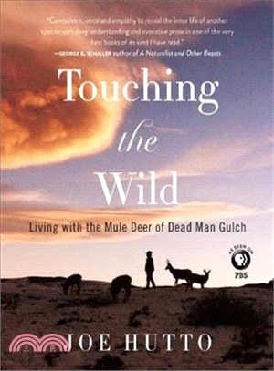 Touching the Wild ─ Living With the Mule Deer of Deadman Gulch
