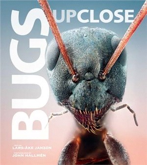 Bugs Up Close ― A Magnified Look at the Incredible World of Insects