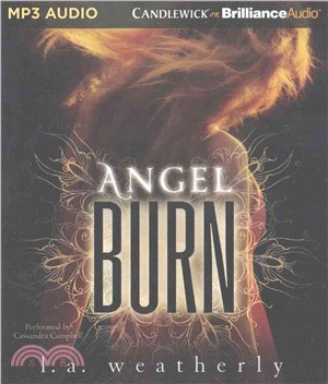 Angel Burn