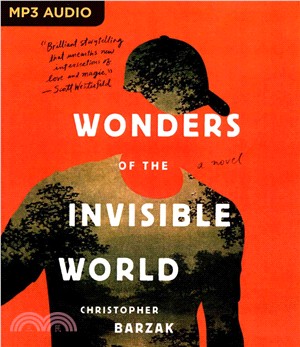 Wonders of the Invisible World