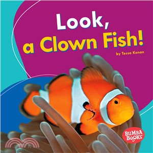 Look, a Clown Fish!