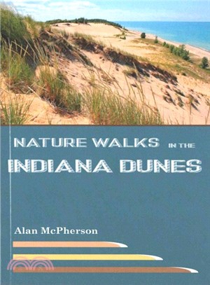 Nature Walks in the Indiana Dunes