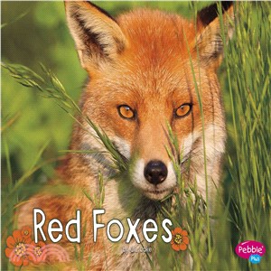 Red Foxes