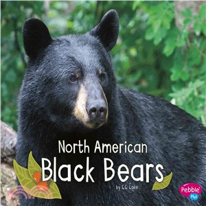 North American Black Bears