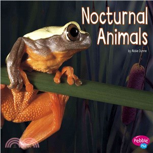 Nocturnal Animals