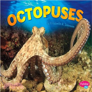 Octopuses