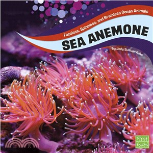 Sea Anemones