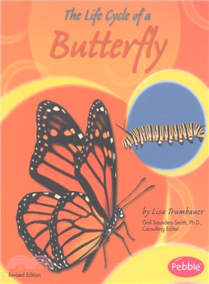 The Life Cycle of a Butterfly