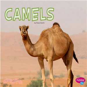 Camels