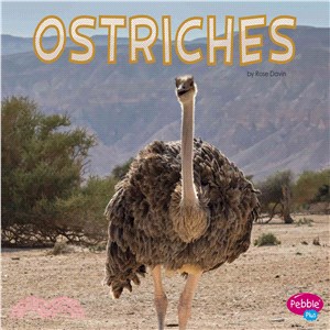 Ostriches