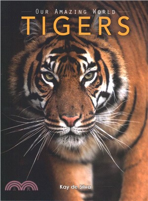 Tigers ― Amazing Pictures & Fun Facts on Animals in Nature