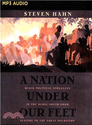 A Nation Under Our Feet ― Black Political Struggles in the Rural South from Slavery to the Great Migration