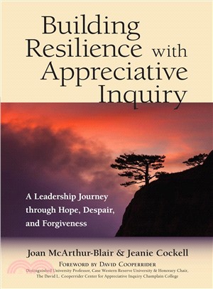 Building resilience with appreciative inquiry :a leadership journey through hope, despair, and forgiveness /