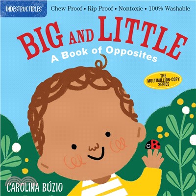Big and Little: A Book of Opposites (咬咬書)