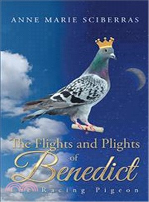 The Flights and Plights of Benedict ─ The Racing Pigeon