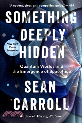 Something Deeply Hidden：Quantum Worlds and the Emergence of Spacetime