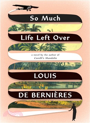 So much life left over :a novel /