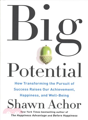 Big potential :how transforming the pursuit of success raises our achievement, happiness, and well-being /