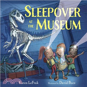 Sleepover at the museum /