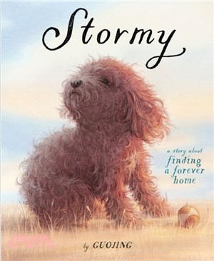 Stormy：A Story About Finding a Forever Home