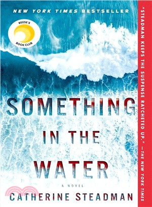 Something in the Water (平裝本)(美國版)