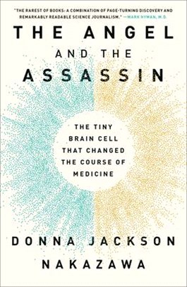 The angel and the assassin :...