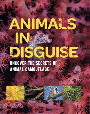 Animals in Disguise