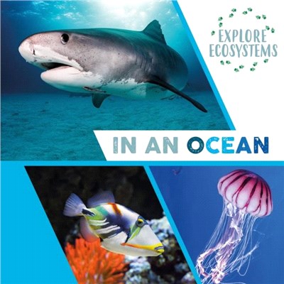 Explore Ecosystems: In an Ocean