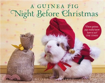 A Guinea Pig Night Before Christmas