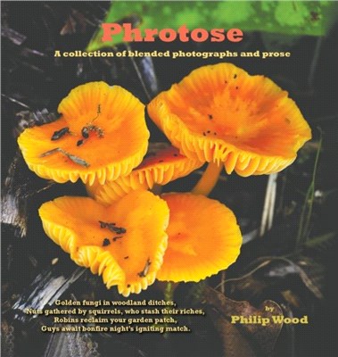 Phrotose：A collection of blended photographs and prose