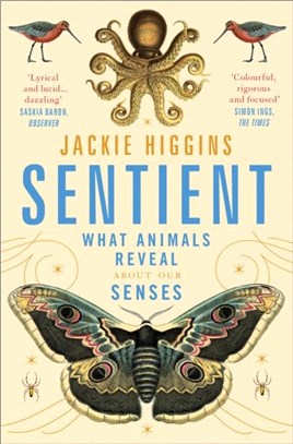 Sentient : what animals reveal about our senses /