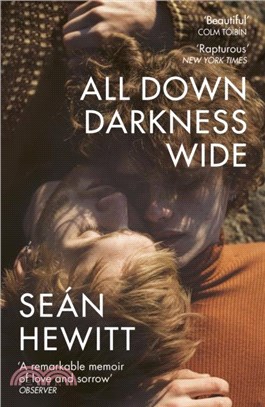 All Down Darkness Wide：A Memoir