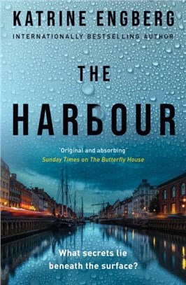 The Harbour：the gripping and twisty new crime thriller from the international bestseller for 2022