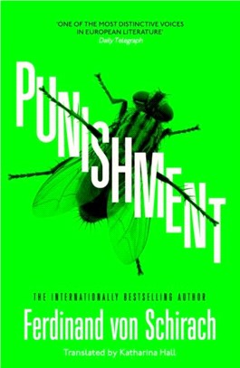 Punishment：The gripping international bestseller