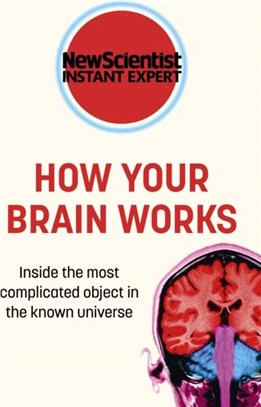How Your Brain Works