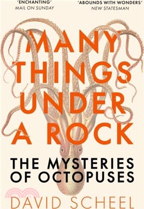 Many Things Under a Rock：The Mysteries of Octopuses