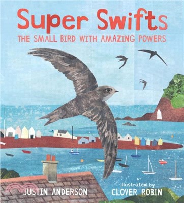 Super Swifts: The Small Bird With Amazing Powers