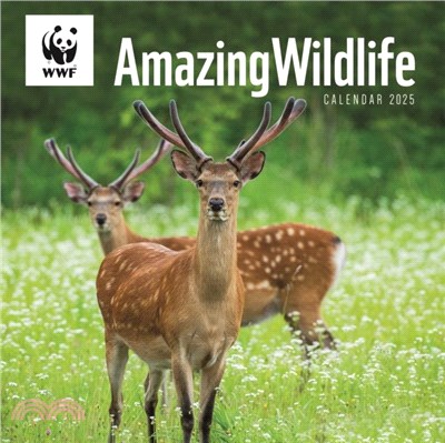 WWF Amazing Wildlife Square Wall Calendar 2025