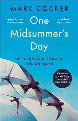 One Midsummer's Day：Swifts and the Story of Life on Earth
