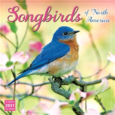 SONGBIRDS OF NORTH AMERICA 2021 CALENDAR