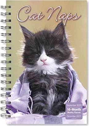 CAT NAPS 2021 PLANNER
