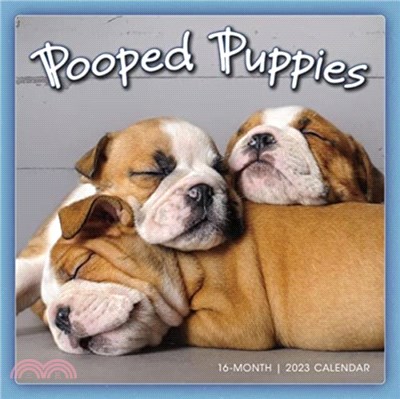 POOPED PUPPIES