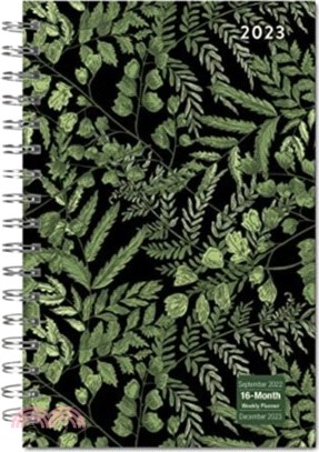 DESIGNER FANCY FERNS