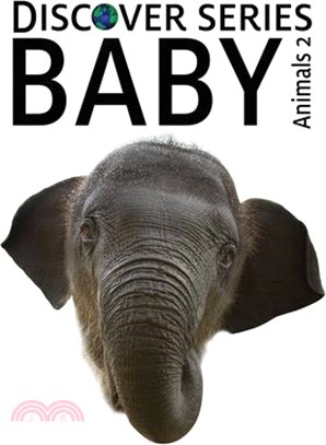 Baby Animals 2
