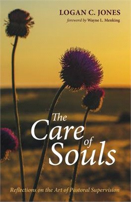 The Care of Souls ― Reflections on the Art of Pastoral Supervision