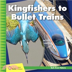 Kingfishers to Bullet Trains