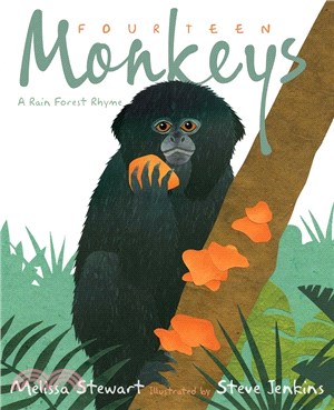 Fourteen monkeys :a rain for...