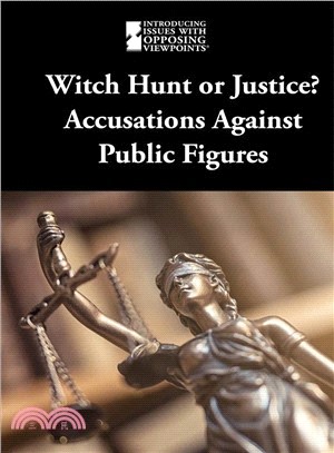Witch Hunt or Justice? ― Accusations Against Public Figures