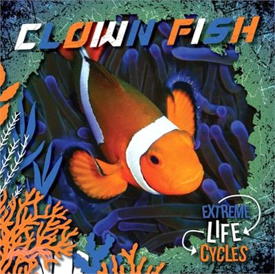 Clown Fish